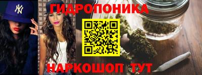 стафф Славянск-на-Кубани