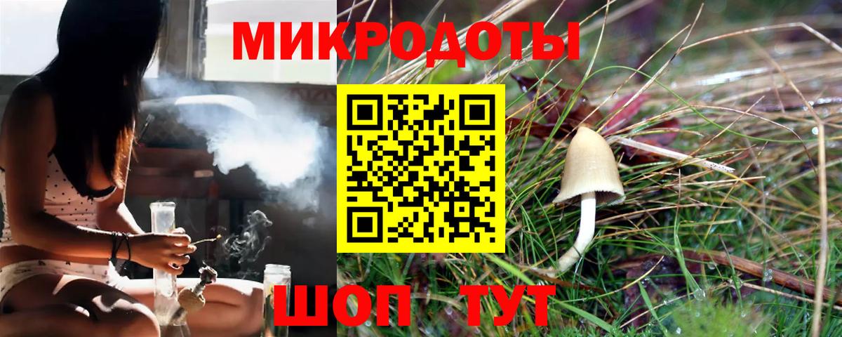 Псилоцибиновые грибы Cubensis  Галлюциногенные грибы мицелий  Свободный  Вход с VPN 